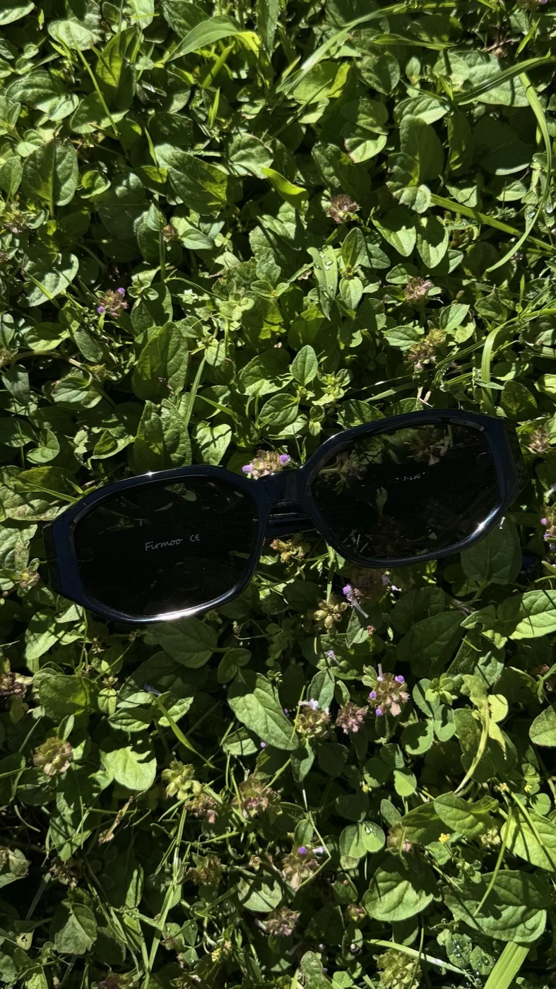 Fotografía de producto — gafas de sol Firmoo entre plantas